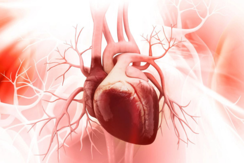 Heart Disease: Understanding Gender-Specific Risk Factors and Symptoms