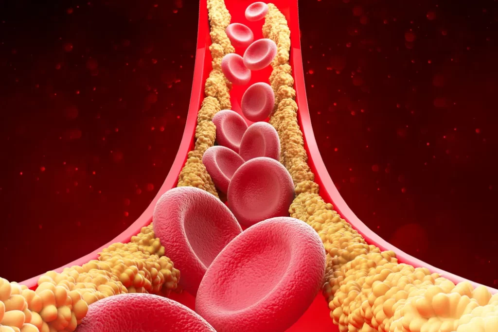 Illustration comparing cholesterol myths and facts for heart health with LDL and HDL levels