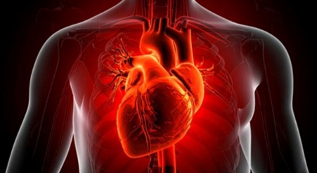 Person experiencing chest burning sensation while wondering if it is acidity or a heart problem